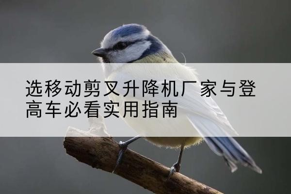 永泰电动升降机厂家-选移动剪叉升降机厂家与登高车必看实用指南