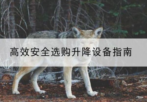 永泰升降货梯厂家推荐-*安全选购升降设备指南