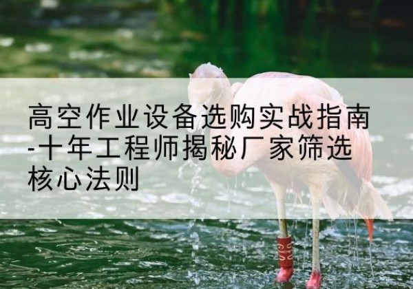 永泰剪叉式升降机厂家-高空作业设备选购实战指南-十年工程师揭秘厂家筛选核心法则